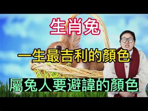 兔年幸運色|屬兔的吉利顏色有哪些？探討兔年之吉祥顏色與風水意義